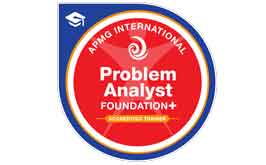 Problem Analyst